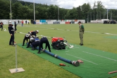 IMG_20170617_134316(1)