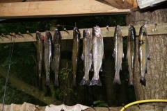 023_23.06.2017_20.12_1