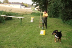 049_23.06.2017_20.27_1