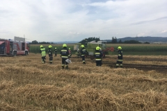 20170720_maehdr (11)