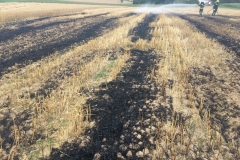 20170720_maehdr (16)