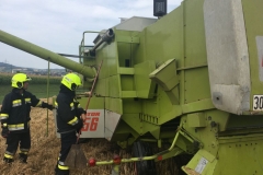 20170720_maehdr (22)