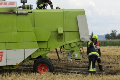 20170720_maehdr (25)