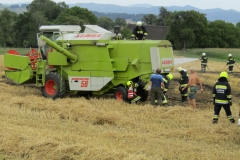 20170720_maehdr (31)