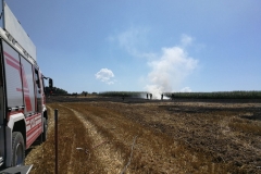 20170801_brand_stroh (12)