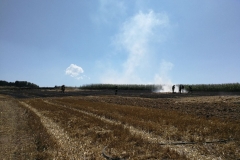 20170801_brand_stroh (14)