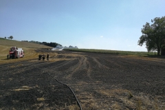 20170801_brand_stroh (17)