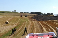 20170801_brand_stroh (3)