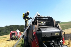 20170801_brand_stroh (8)