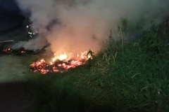 20170805_flurbrand (1)