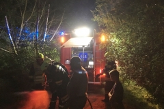 20170805_flurbrand (10)