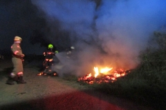 20170805_flurbrand (11)