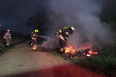 20170805_flurbrand (13)