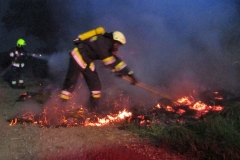 20170805_flurbrand (14)