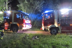 20170805_flurbrand (27)