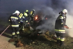 20170805_flurbrand (8)