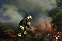 20170805_flurbrand (9)