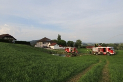 20180601_uebung_wasser (22)