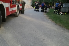 IMG_20180705_192439 (768x1024)