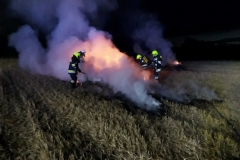 IMG_7188 (1280x958) (1024x766)