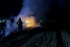 IMG_7189 (1280x960) (1024x768)