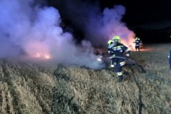 IMG_7190 (1280x939) (1024x751)