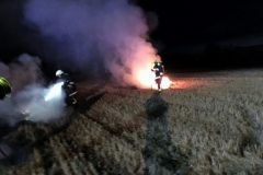 IMG_7191 (1280x960) (1024x768)