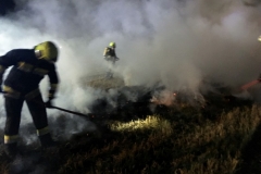 IMG_7192 (1280x960) (1024x768)