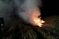 IMG_7193 (1280x960) (1024x768)