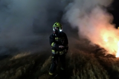 IMG_7194 (1280x936) (1024x749)