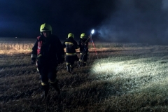 IMG_7197 (1280x909) (1024x727)