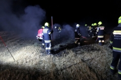 IMG_7198 (1280x955) (1024x764)