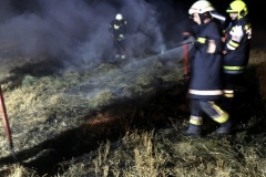 IMG_7199 (1280x960) (1024x768)