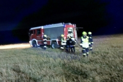 IMG_7201 (1280x925) (1024x740)