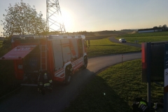 IMG_20180928_175550_1