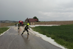 20180510_foto (23) (1024x768)