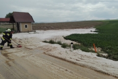 20180510_foto (25) (1024x768)