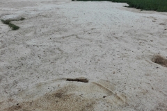 20180510_foto (26) (1024x768)