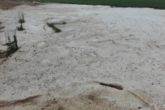 20180510_foto (27) (1024x768)