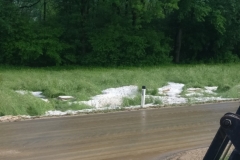 20180510_foto (29) (1024x768)