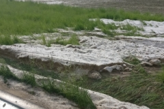 20180510_foto (31) (1024x768)