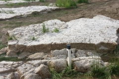 20180510_foto (32) (1024x768)