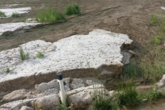 20180510_foto (33) (1024x768)