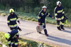 herbstuebung_2019-18