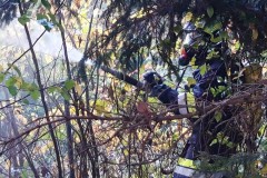 herbstuebung_2019-22