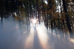 herbstuebung_2019-23