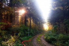 herbstuebung_2019-46