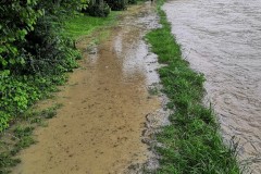 ffrup_hochw-20200621_22-23_1