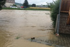 ffrup_hochw-20200621_22-26