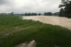 ffrup_hochw-20200621_22-47